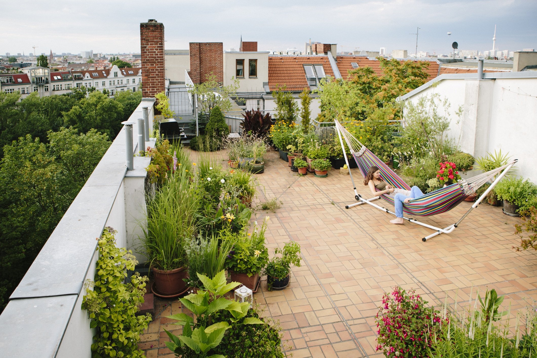 Roof Top Romp