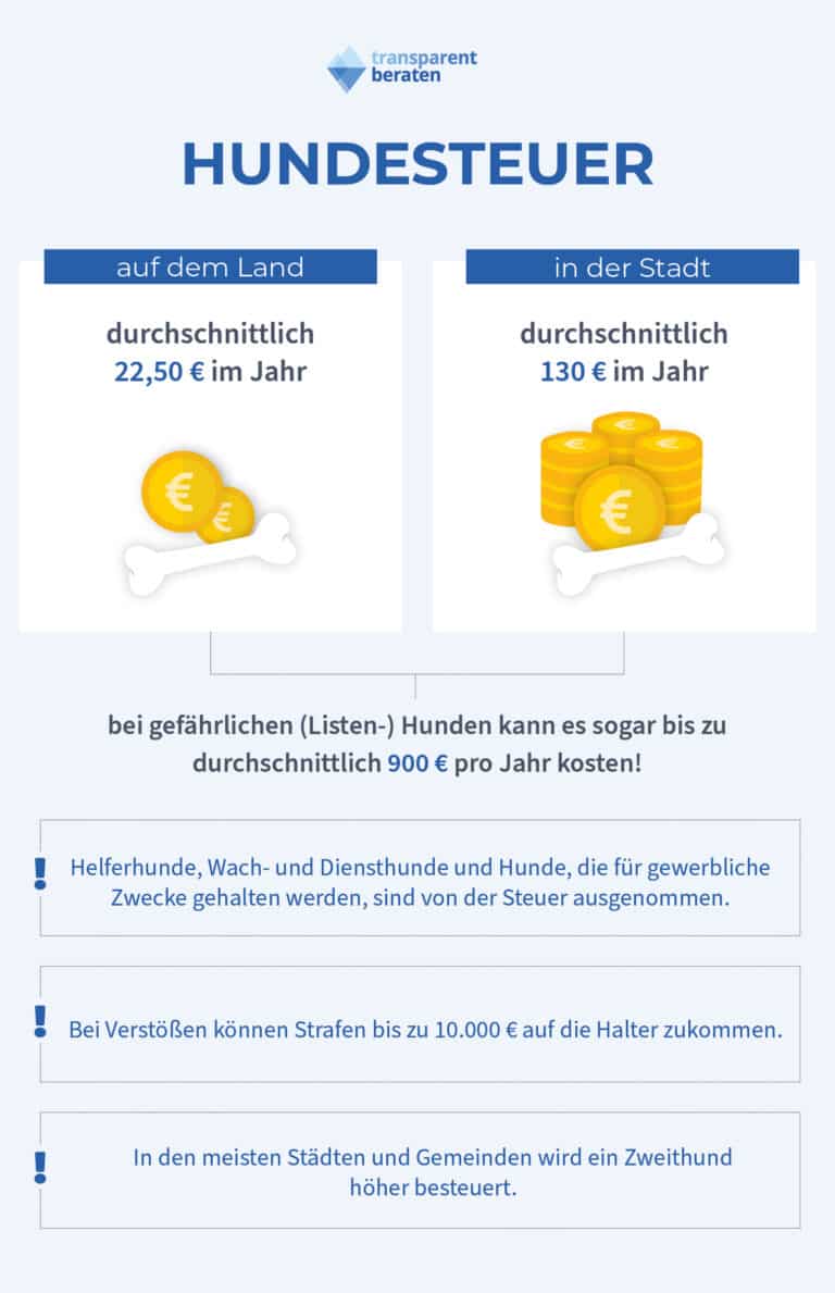 Versicherung Für Hunde | Anmelden Und Hundesteuer (2024)