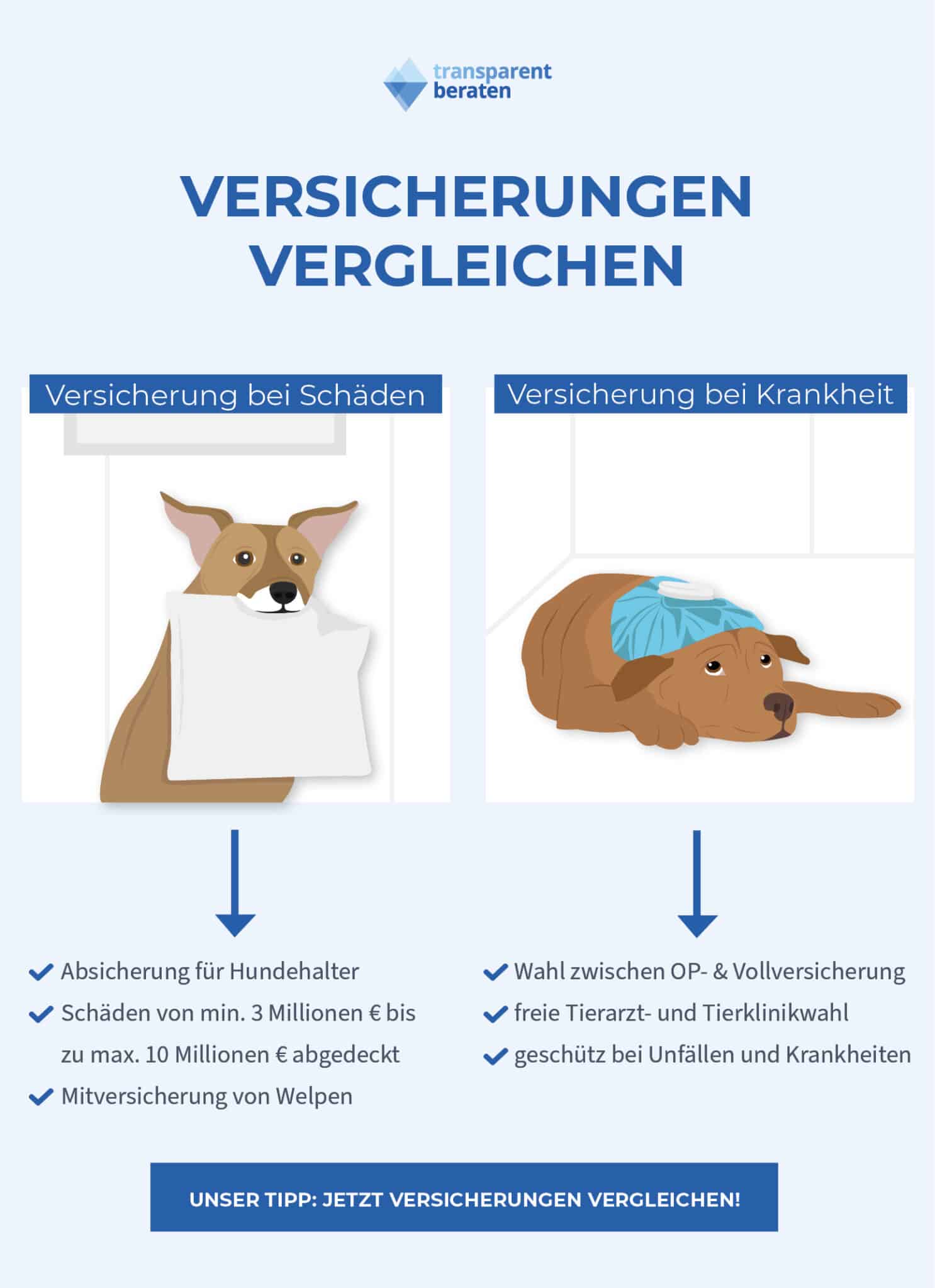 Versicherung Für Hunde Anmelden Und Hundesteuer 2024 