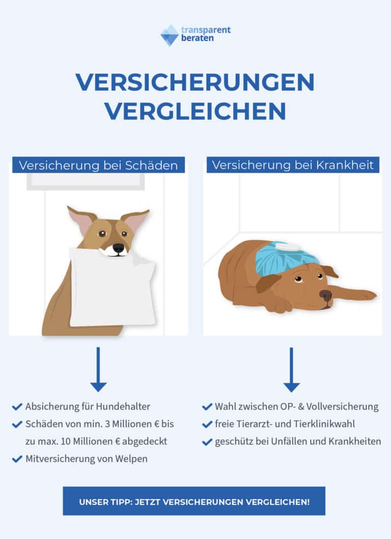 Versicherung Für Hunde | Anmelden Und Hundesteuer (2024)