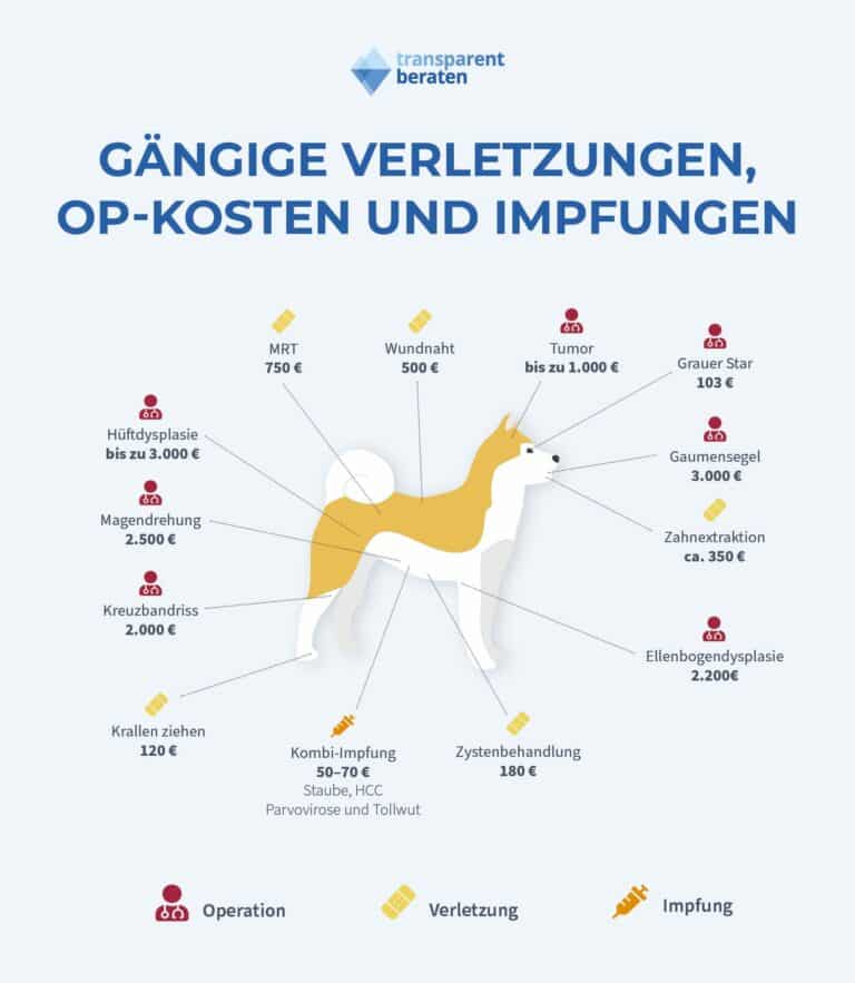 Versicherung Für Hunde Anmelden Und Hundesteuer 2024 